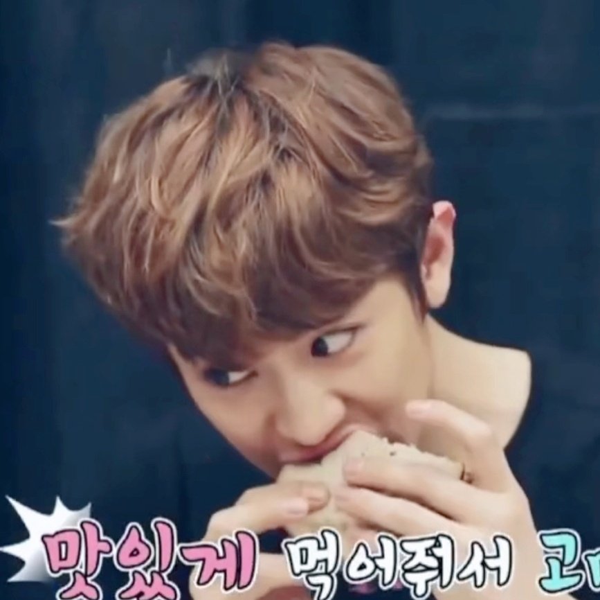 (\\  /)( • - •)/つ