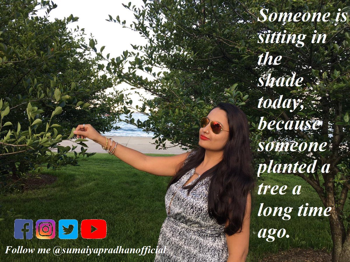 SumaiyaPradhan's tweet photo. “Take care of the trees, they will take care of you.” 
Please share and follow 🙏
#MotivationalQuotes #Motivation #inspirational #Saturday #SaturdayMotivation #SaturdayThoughts #SaturdayMorning #quotes #InspirationalQuotes #savetrees #inspiration #InspirationalQuotes #Mindset https://t.co/twlZleipK8