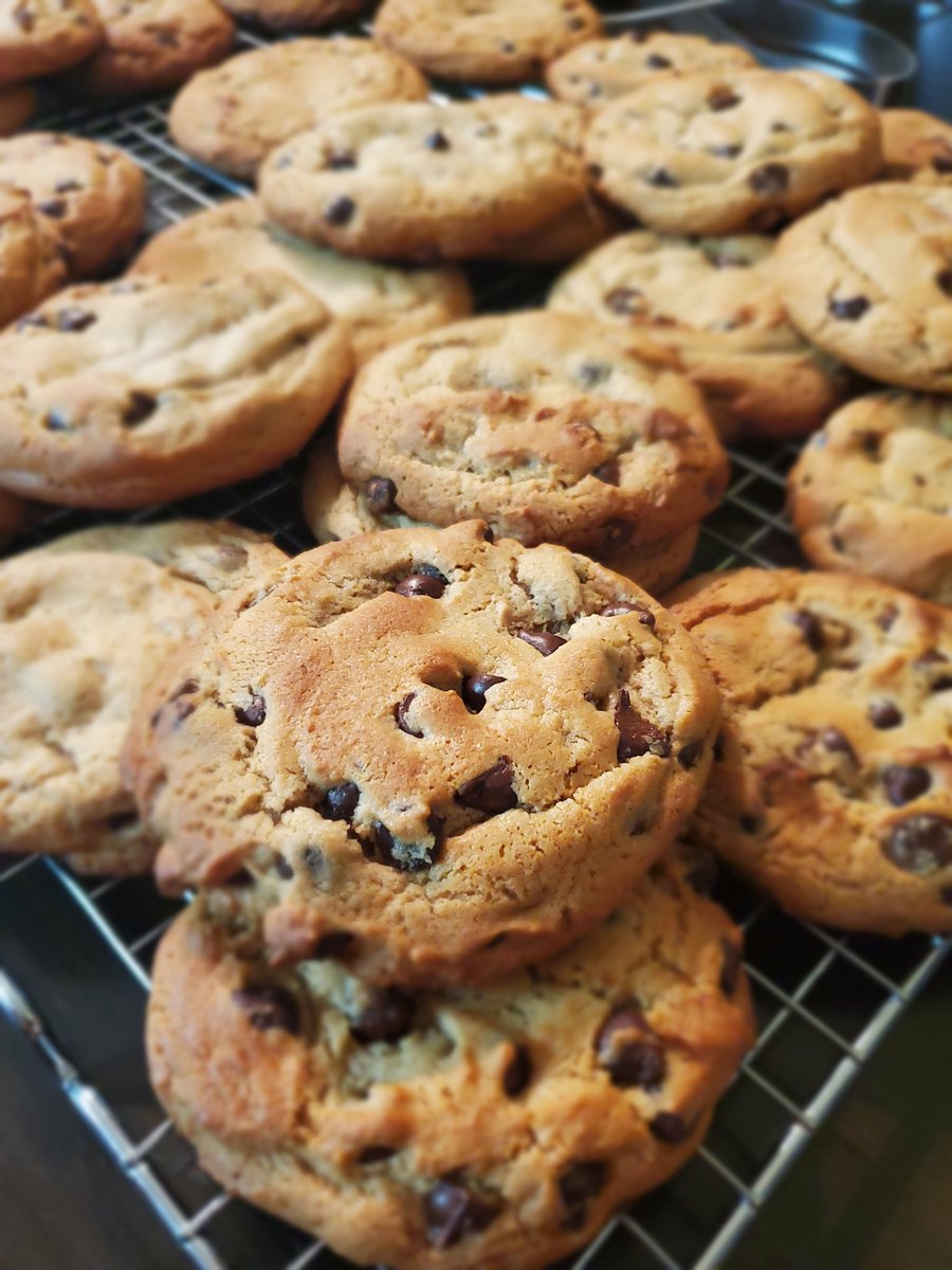 gubbmintcheese's tweet photo. Life is short.. have a #gubb cookie. Happy weekend all. https://t.co/3I35lsPjNv