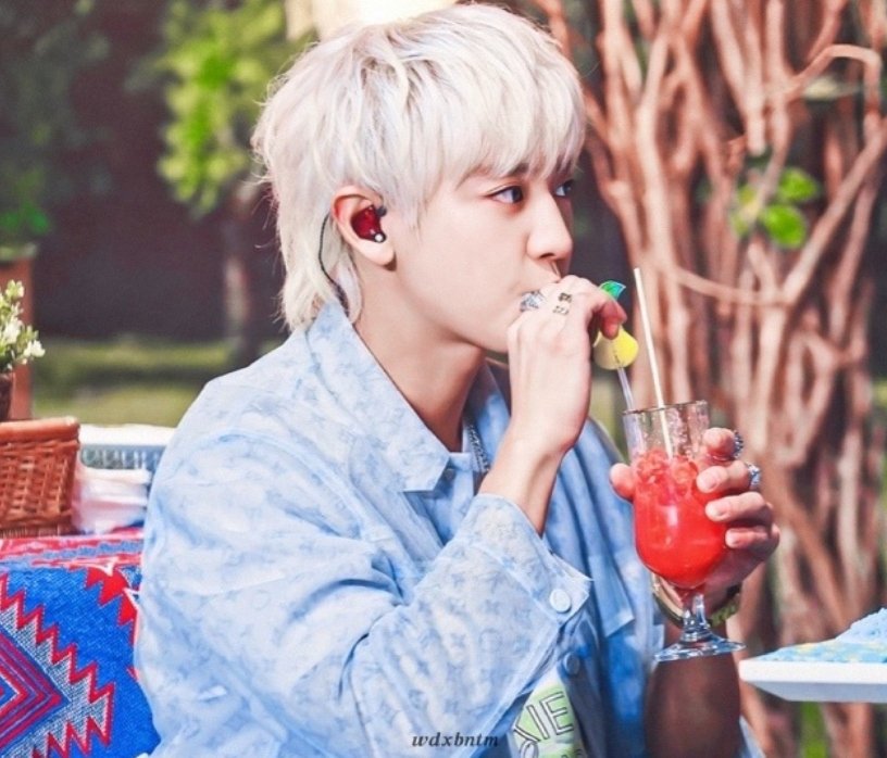 (\\  /)( • - •)/つ