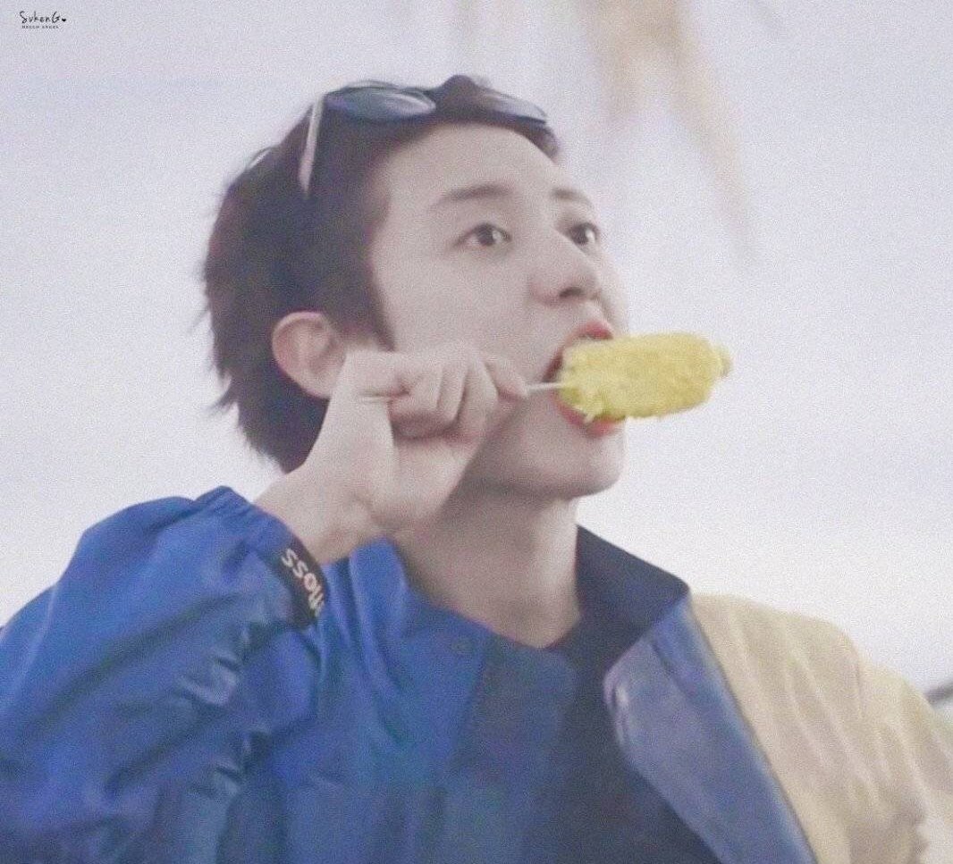 (\\  /)( • - •)/つ