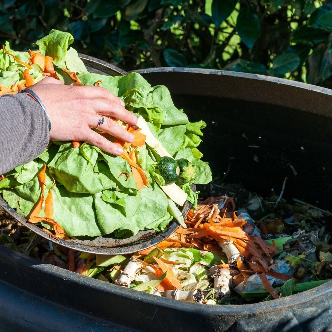 #Foodscraps and yard debris make up more than 28% of waste in the USA. #Composting keeps that waste out of landfills and creates nutrient rich soil to help plants grow. Do you compost?