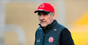 Irish Independent tweet media