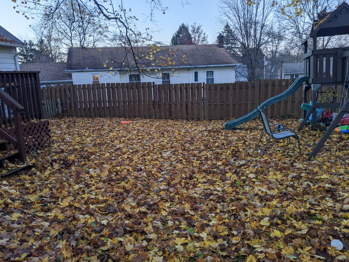 MrsMcEnoff's tweet photo. I think there's grass under here somewhere #leafproblems https://t.co/92QLOzxszH