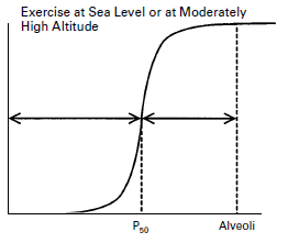 7/n and the curve shifts left! We are still on the “flat” part of the loading curve but need to deliver oxygen more efficiently to tissues.