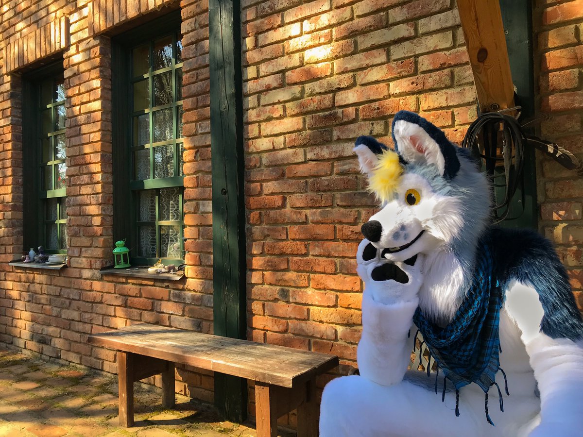 MirekMoony's tweet photo. Waiting for the Postman.
#FursuitsFriday   

📸Shitty, the hyena
🌐Western City Boskovice - KRAZ (🇨🇿 Czech furry consite) https://t.co/v49FA3ICxr