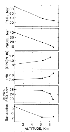 17/n During a research expedition to Everest in 1981 detailed RBC studies were done and confirmed very low P50 at extreme altitude – despite higher DPG levels (remember DPG raises P50) – due to the extreme respiratory alkalosis. (PMID: 6693310)
