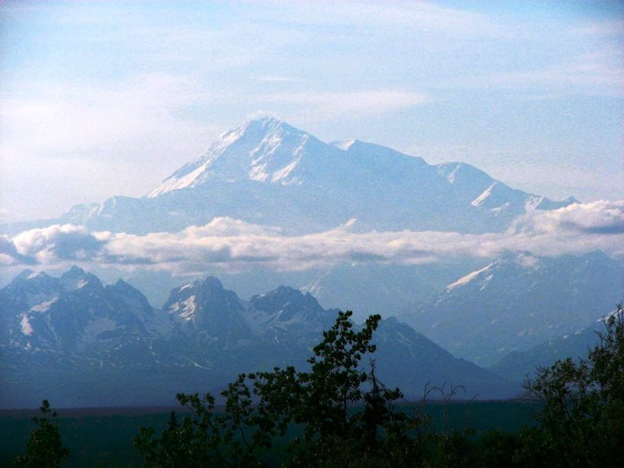 21/21 Given this maybe this summer when my students are (hopefully) doing research on Denali we should bring a few penguins with us! To summarize - the ODC is really cool and allows hemoglobin to rapidly adjust to all sorts of environment conditions!