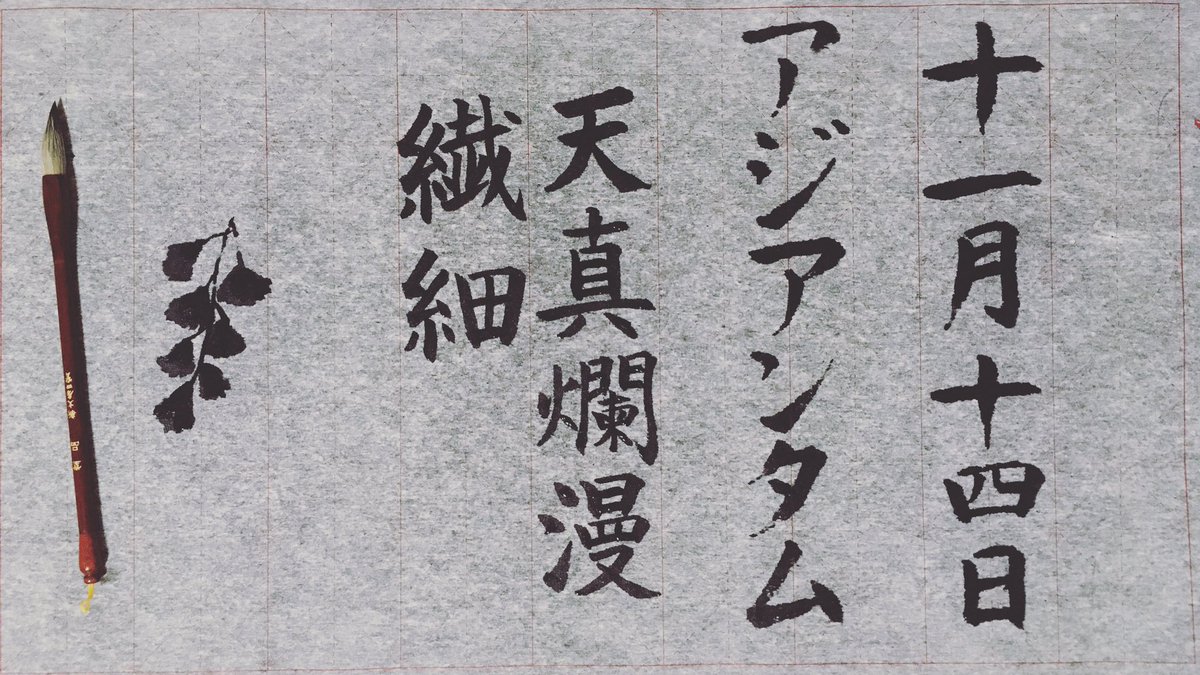 伊藤 恵 水書き書道 誕生花と花言葉 11 14 アジアンタム 天真爛漫 繊細 ネット記事より 花言葉の 繊細 は こまかな薄い葉を密につけた繊細な草姿にちなむといわれます 水書き書道 書道 誕生花 花言葉