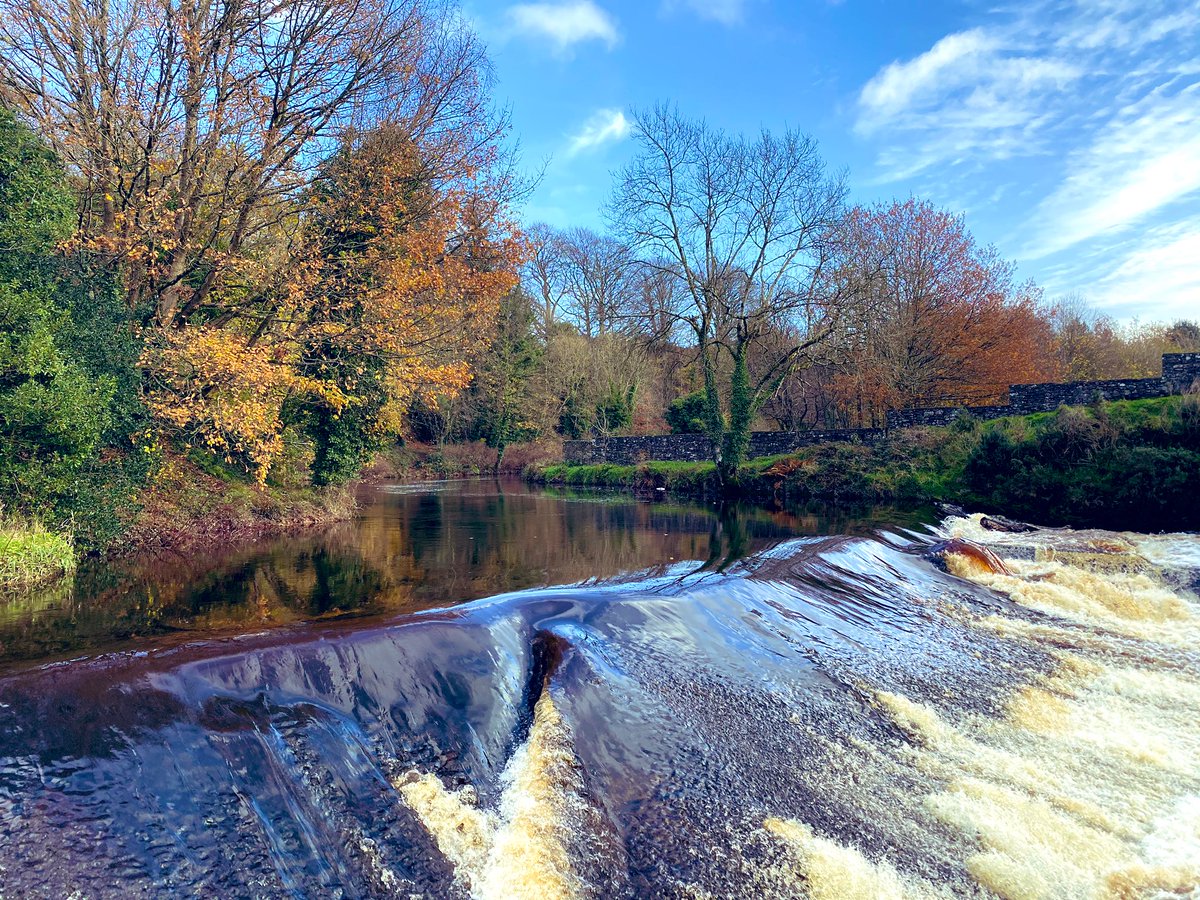 BSO_SS's tweet photo. @BSO_HR #WorldKindnessDay challenge accepted 💪🏻

The sun was out for a lunch time walk today in the park beside our office and we finished the week with a chocolate treat or 2...
✅🥰🍂🍁
#RandomActOfKindness #BeKindToEachOther https://t.co/A7sG5VpGGF