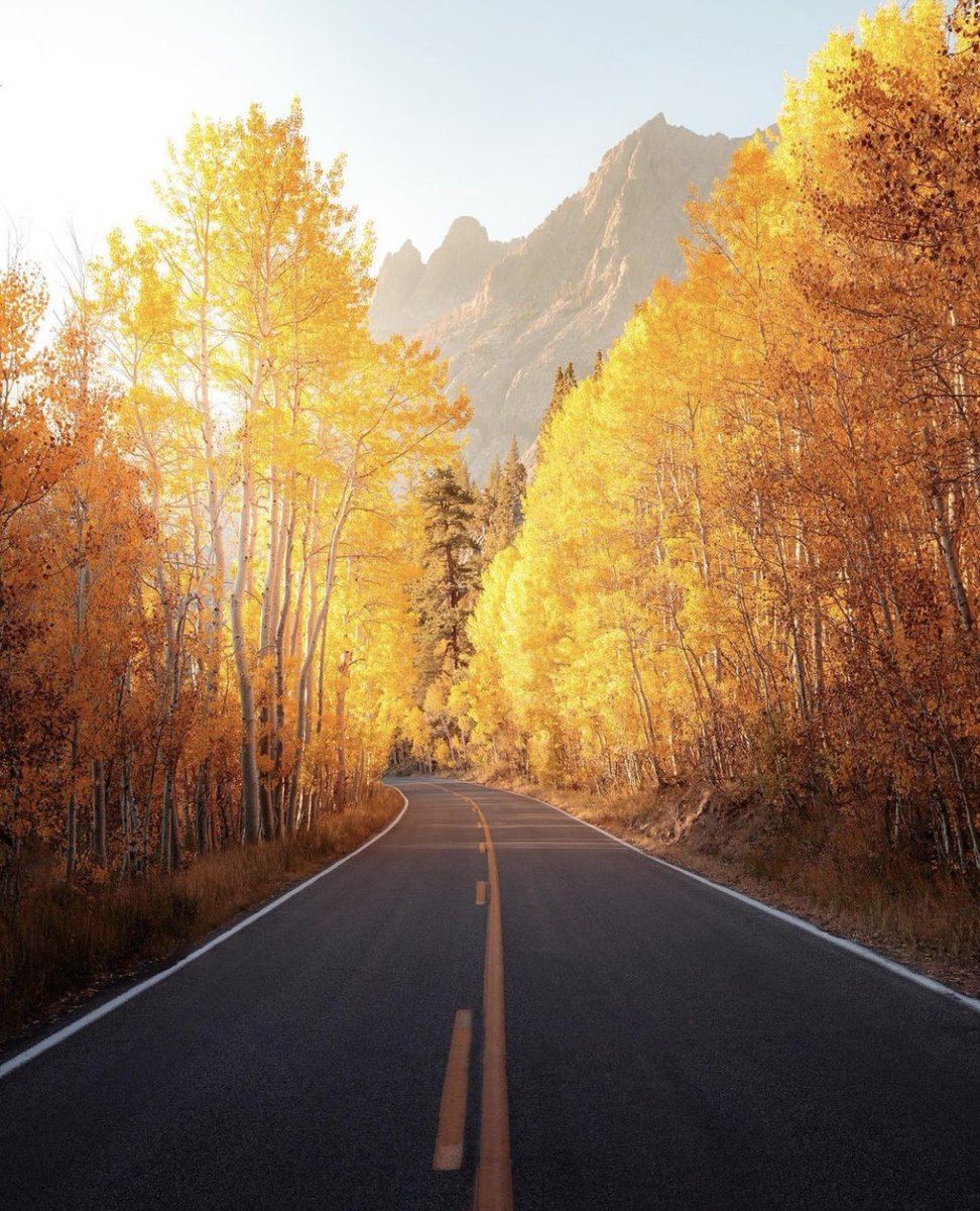 coffee_n_mtns's tweet photo. fall road trip 🍂 https://t.co/h11Wp0S4hq