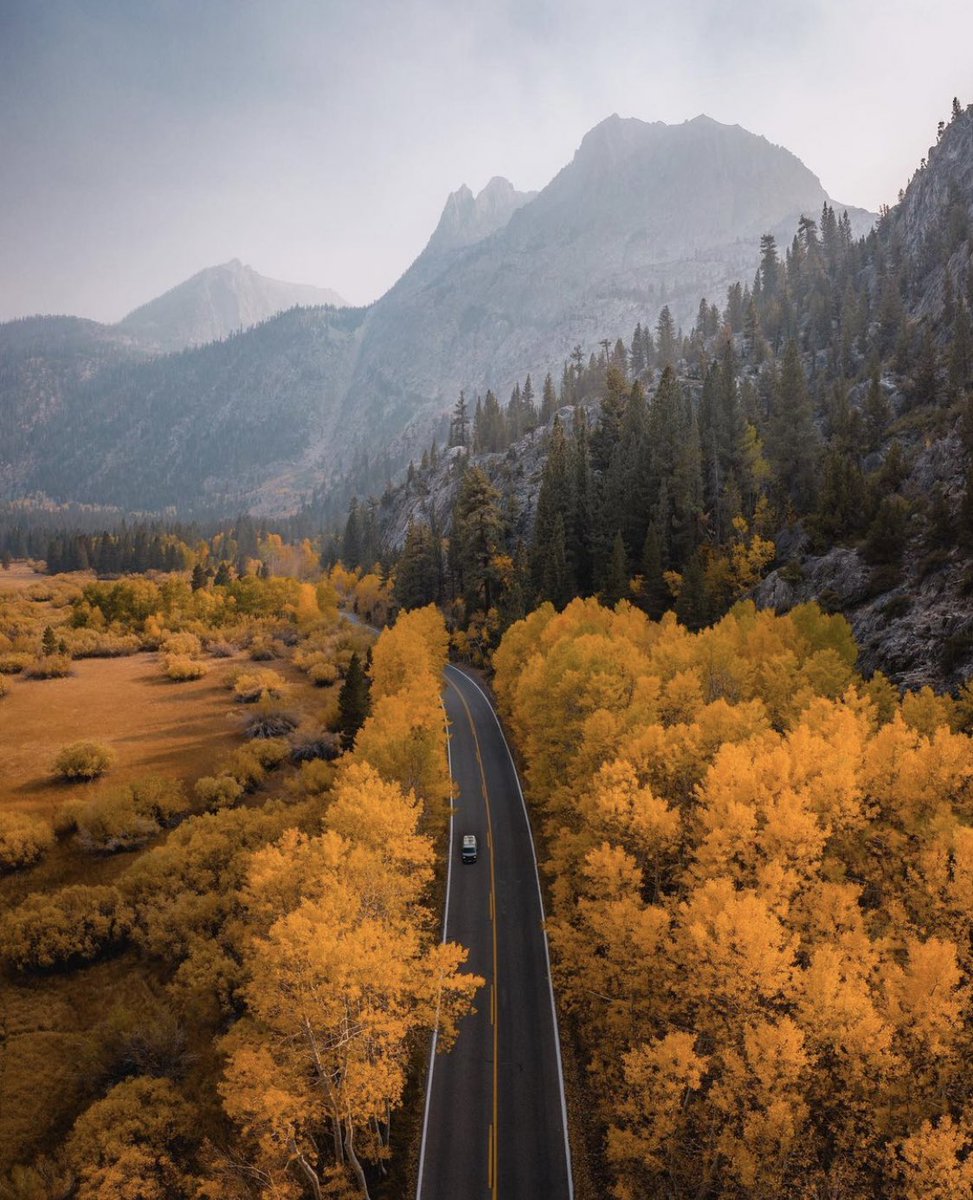 coffee_n_mtns's tweet photo. fall road trip 🍂 https://t.co/h11Wp0S4hq