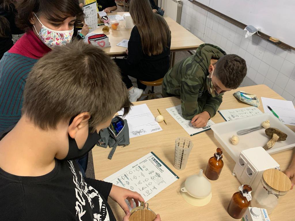 InsThos's tweet photo. Els alumnes de #1rESO s’han convertit en micòlegs per un dia! Descobrint el món dels fongs: bolets, floridures i llevats. #TotsSomThos #Projectes #StemForts https://t.co/hUng50oyws