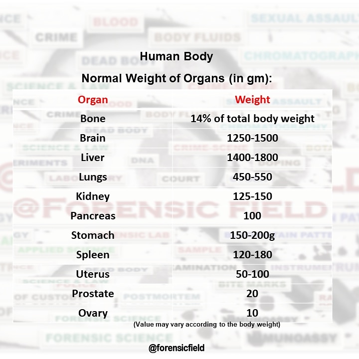 ForensicField's tweet photo. Normal Weight of Organs in Human body
--------
#forensicfield #forensicscience #forensicstudy #forensicmedicine #forensicpathology #forensicknowledge #humanbody #forensicmultiplechoicequestion #forensicdivision #forensicsciencenotes #forensicshortnotes #forensics https://t.co/i97T51U86p