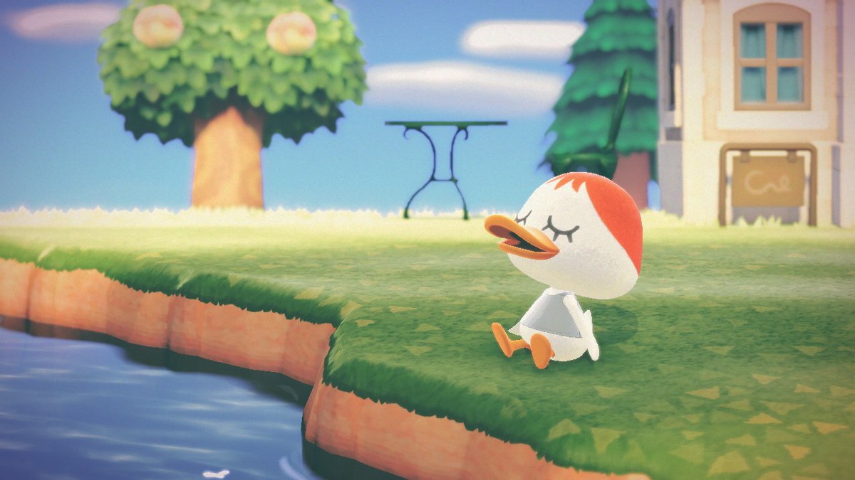  acnh acct (0lgaschmidt) Twitter