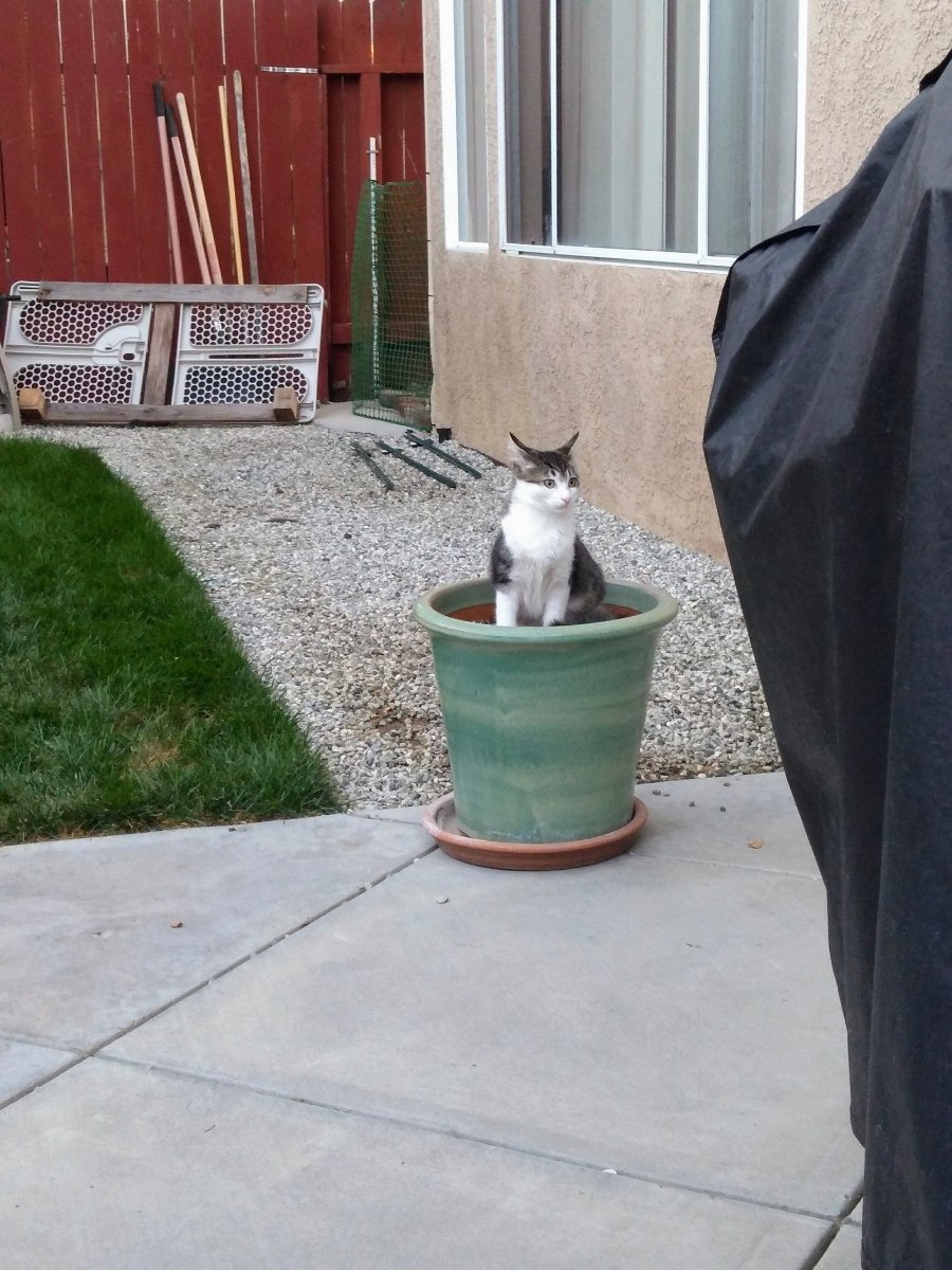 The plants are growing nicely this time of year!