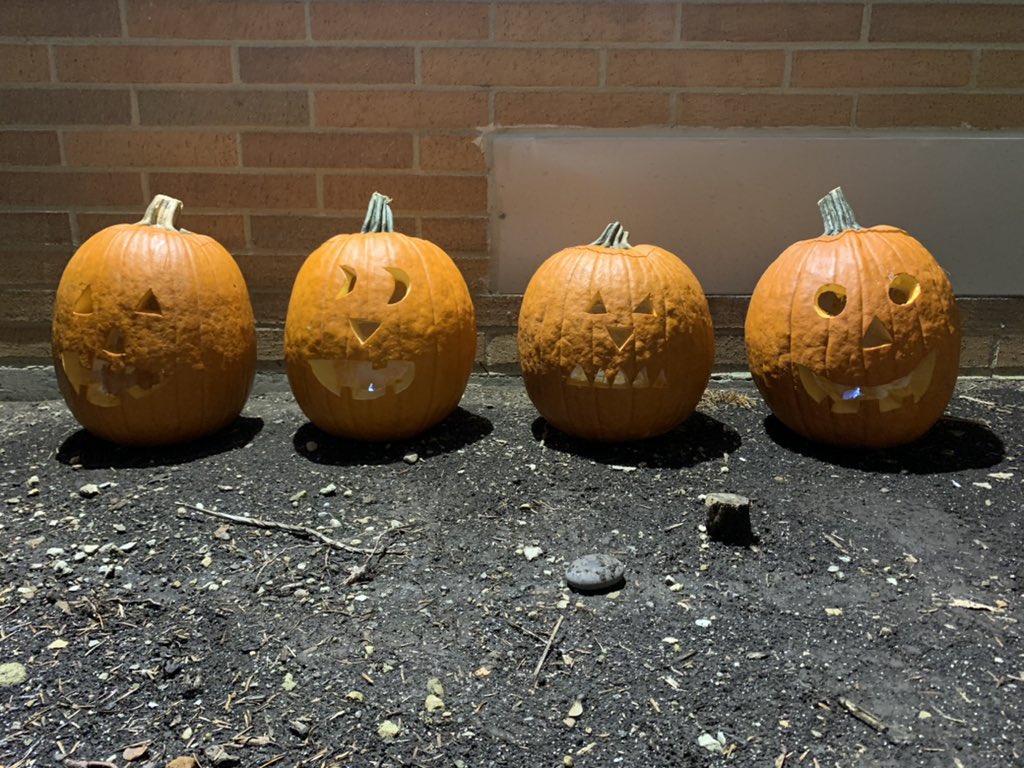 IRE129's tweet photo. Our kindergarten 🎃 are on the fast track for rotting. The 🎃 were placed outside on October 30. This past Tuesday, Nov. 10, there were visible changes and the next day, Wednesday, Nov. 11, all four collapsed.  #scienceobservations #predictions #kindergartenrocks @ireDCSD https://t.co/Gv5k9lWQ82