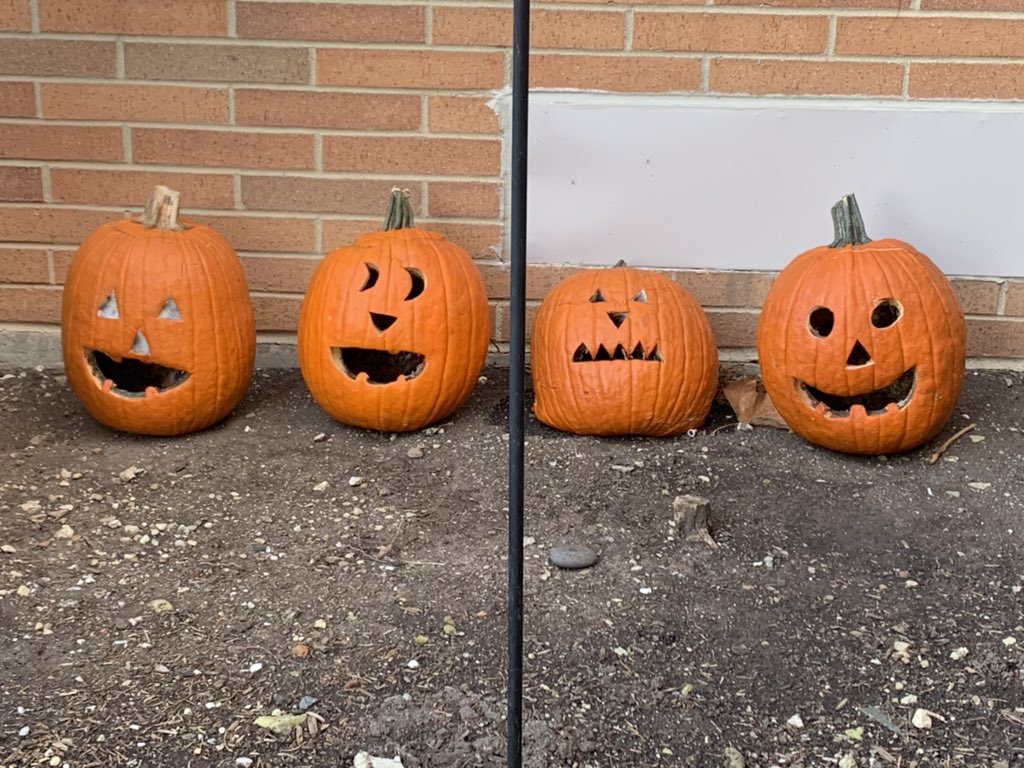 IRE129's tweet photo. Our kindergarten 🎃 are on the fast track for rotting. The 🎃 were placed outside on October 30. This past Tuesday, Nov. 10, there were visible changes and the next day, Wednesday, Nov. 11, all four collapsed.  #scienceobservations #predictions #kindergartenrocks @ireDCSD https://t.co/Gv5k9lWQ82