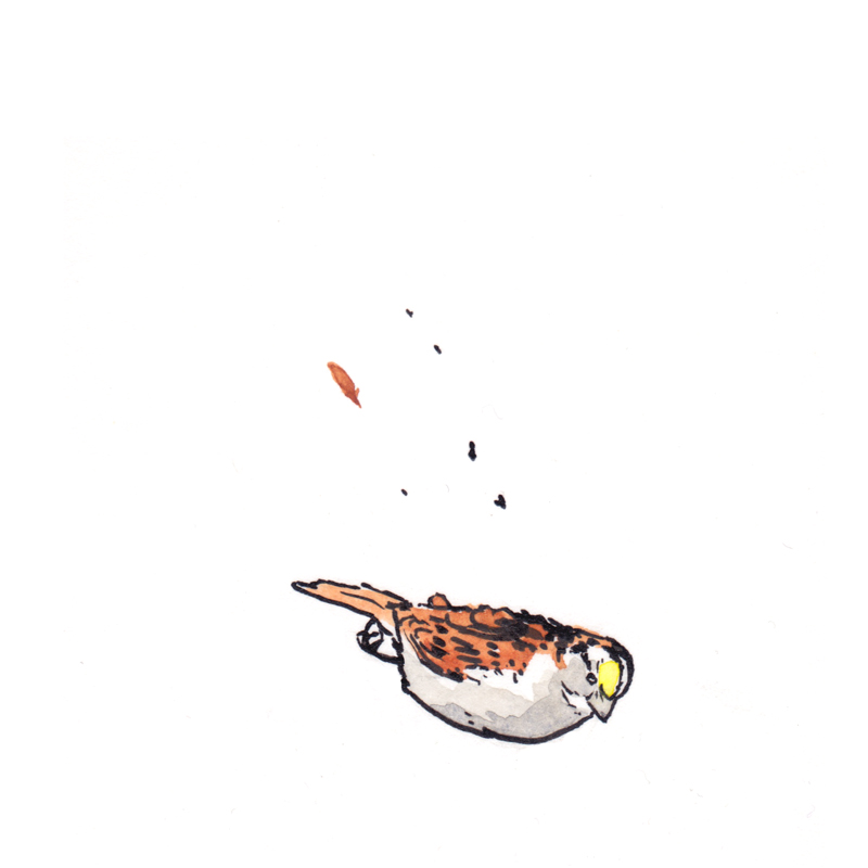 [2/3] 