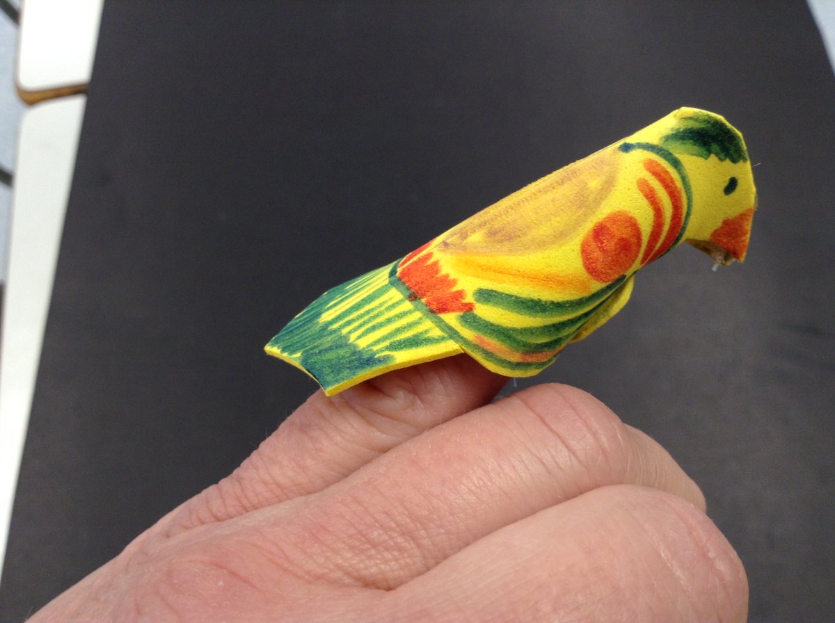 Ms_C_Dickson's tweet photo. K-Art: Students are learning a body break/ dance routine to "Three LIttle Birds" (S. Marley Remix.) Each student began creating 3 little finger puppet 'birds' to use during this music appreciation and art project. #Edgemontstrong @EdgemontCBE https://t.co/KveXDN7OE9