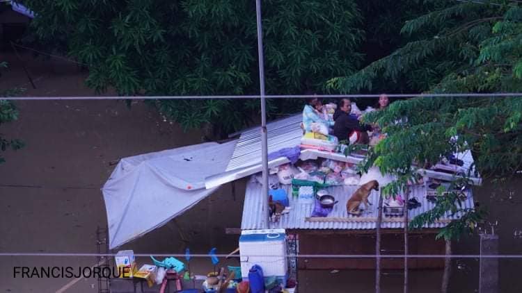 ABSCBNNews's tweet photo. TINGNAN: Sa bubong na nagpalipas ng gabi ang maraming residente sa Iraga, Solana sa Cagayan dahil lubog pa rin sa baha ang kanilang bahay.

Mas pinili na lang umano ng mga ito na doon manatili para mabantayan din ang kanilang ari-arian. | (Kuha ni Francis Jorque) via Harris Julio https://t.co/4Uf4FCfMG2