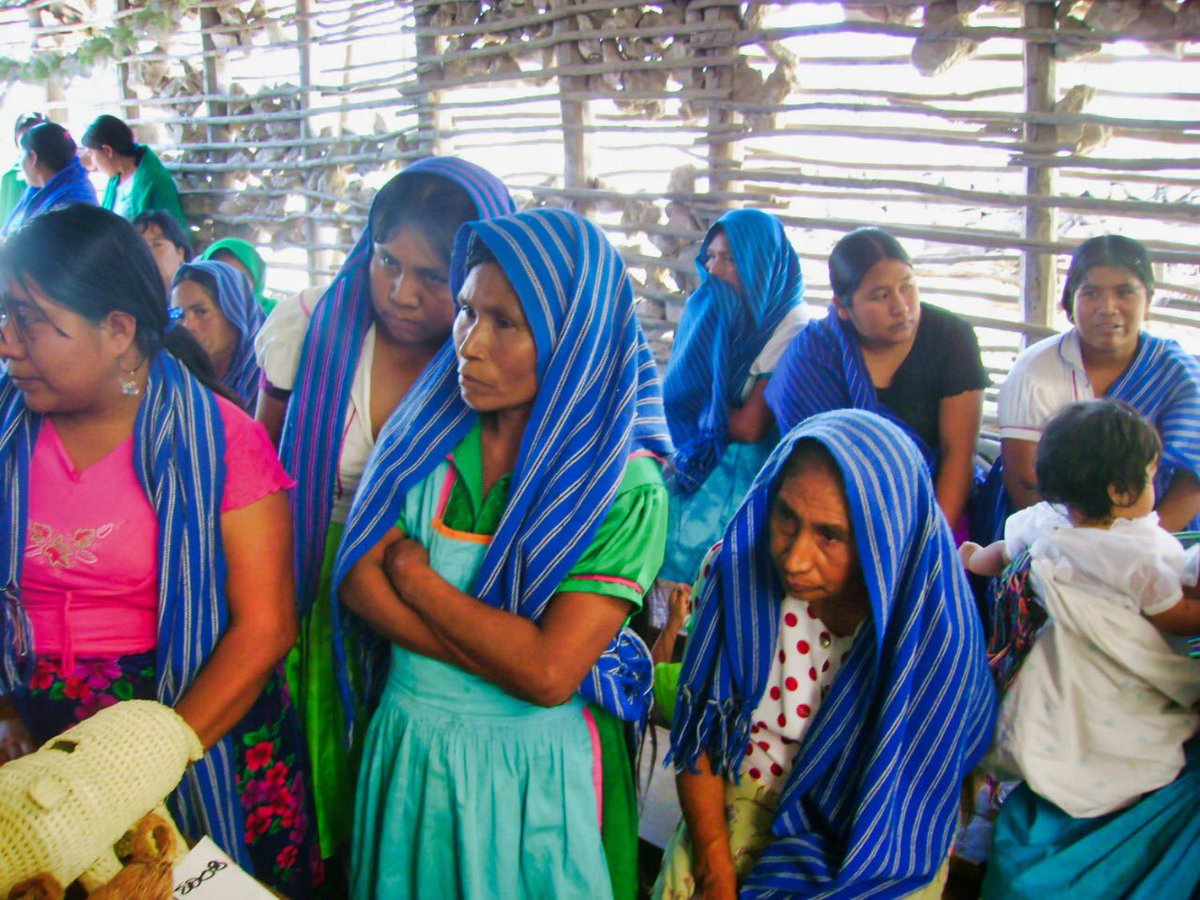 INPImx's tweet photo. #Conoce el trabajo artesanal de la cooperativa:
🌿"Artesanía Xi´oi en palma".🌿
Este grupo de mujeres #Pames de Santa María Acapulco, San Luis Potosí, diseñan diversos productos de hoja de palma, decorados con pigmentos naturales.
📷 Galería completa 👉https://t.co/0hJ01R1Nws https://t.co/3A2BBoyXnZ