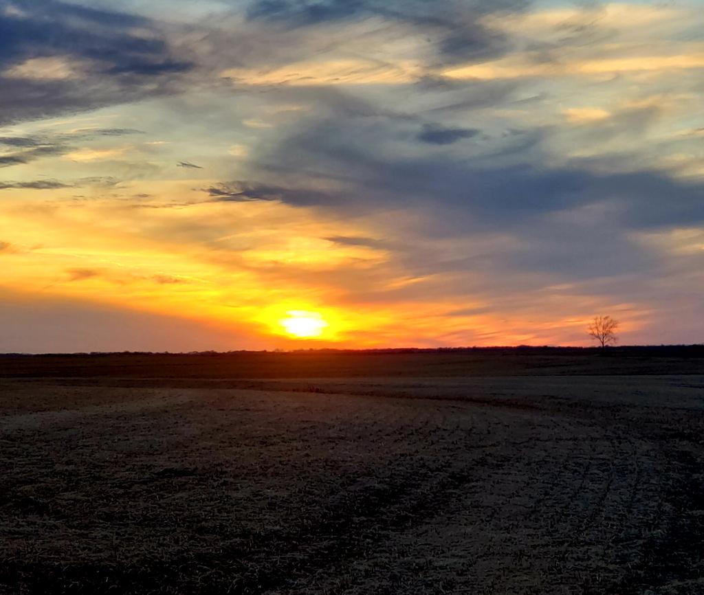 mindydohrman's tweet photo. Very nice sunset tonight! @dohrman_adam #sunsetridge https://t.co/qgp5oazP9a