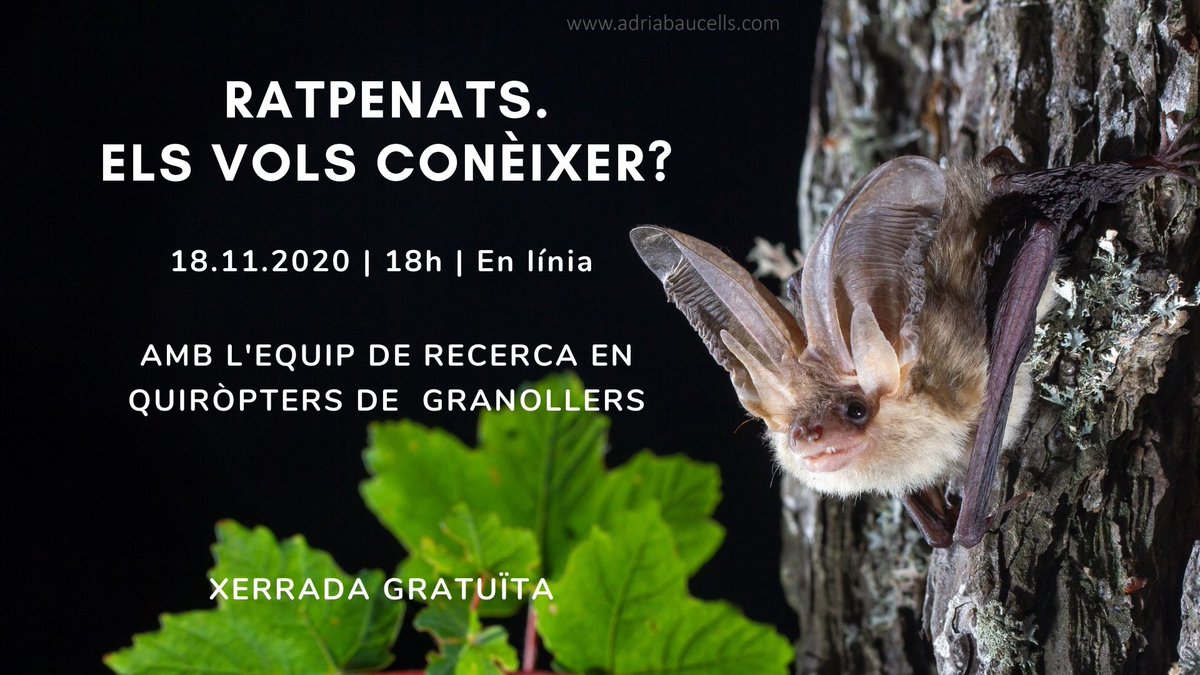Museu de Ciències Naturals de Granollers tweet media