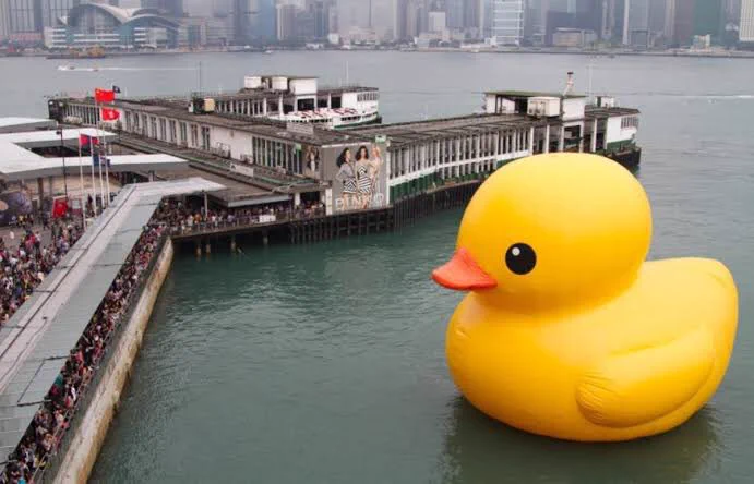 @nakazeean 大事に育てた将来 