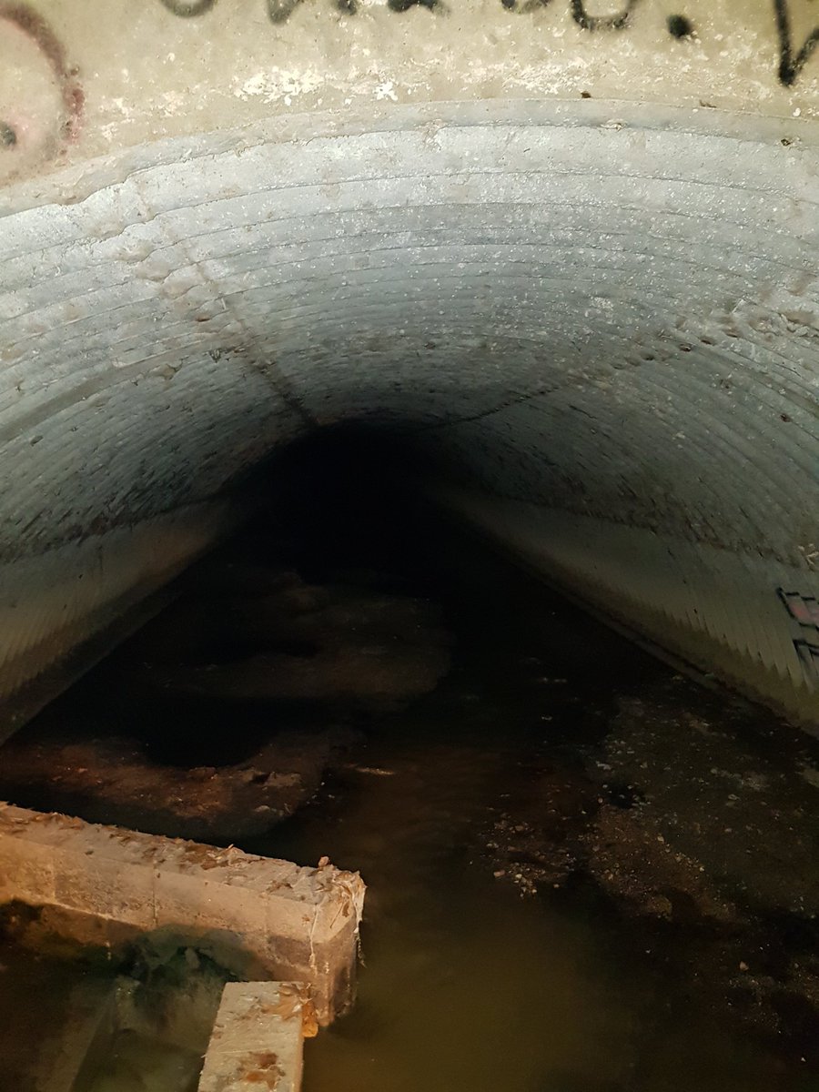 David11803699's tweet photo. Necesito ayuda!! El día 11 se perdió esta perra en las alcantarillas de el río besos (Santa Coloma de Gramanet) y no la emos vuelto a ver. Necesitamos máxima difusión pues no estamos recibiendo ayuda de ningún tipo, ni por parte de los bomberos ni de la guardia urbana...#DIFUNDIR https://t.co/BGDE0raUZK