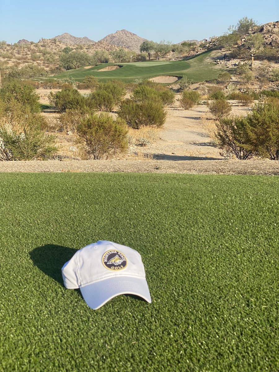 Montana State Golf tweet media