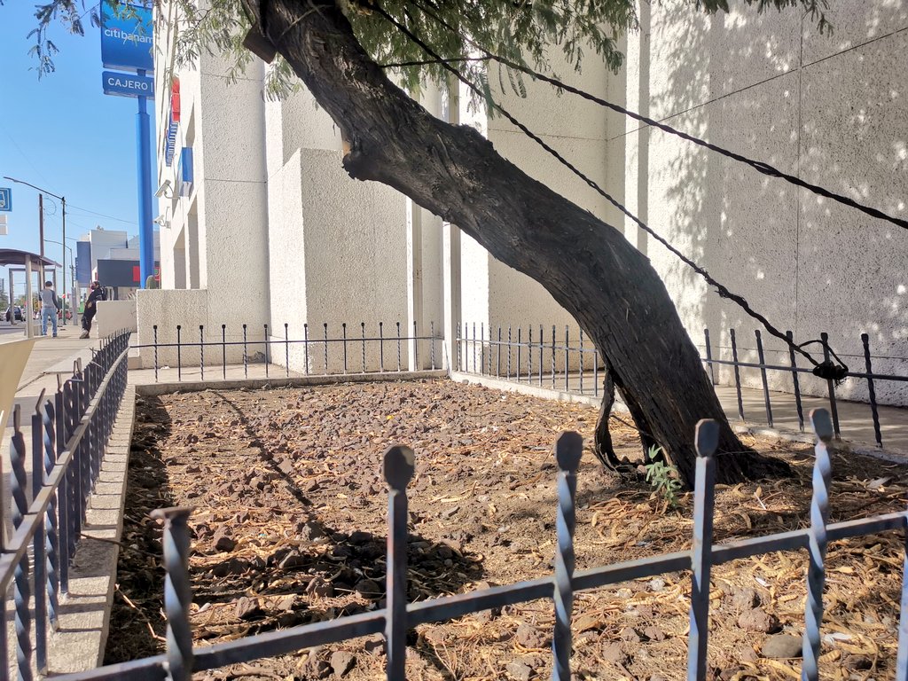 CPJannyBarrera's tweet image. #ArquitecturaHostil #HostileArchitecture 😪🇲🇽