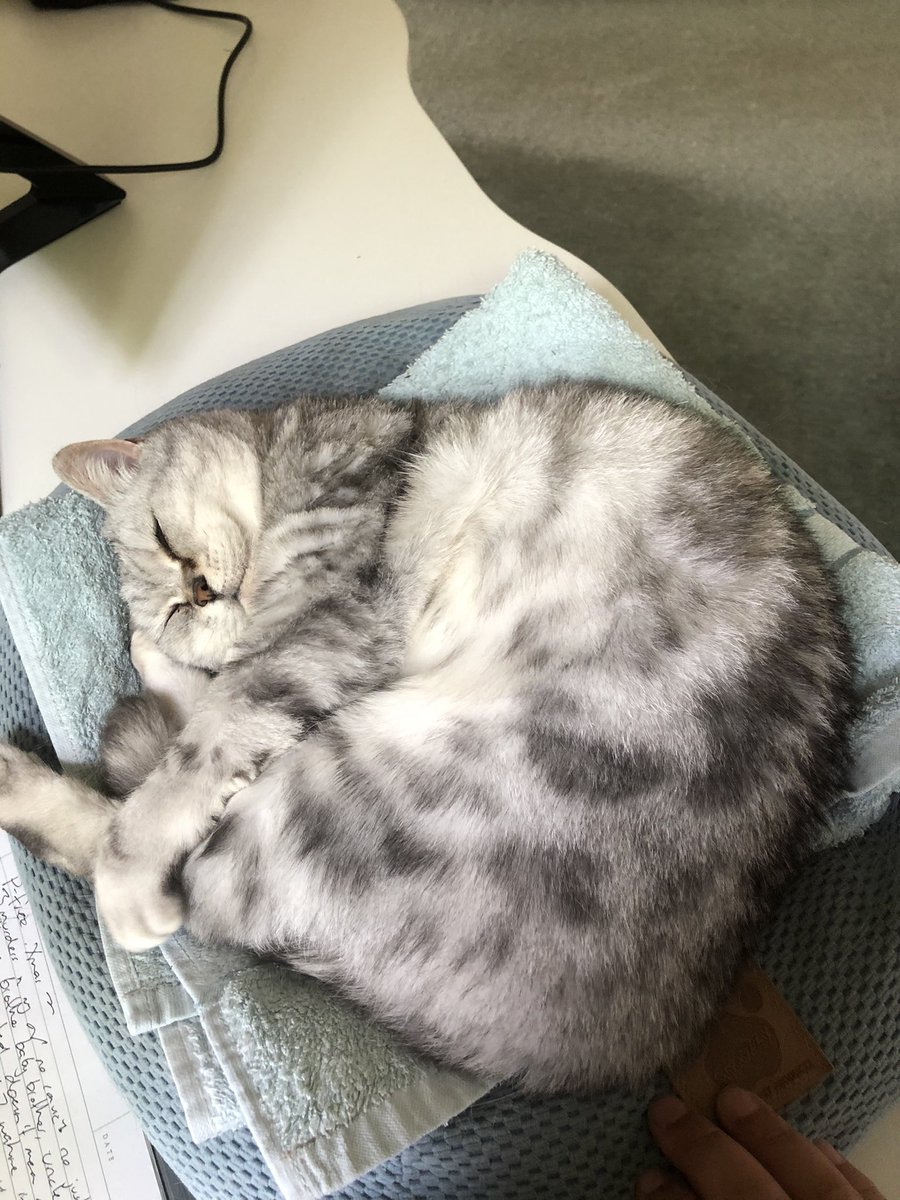 PussAndTheGang's tweet photo. Judi smile at me. https://t.co/UWxMc70s2R