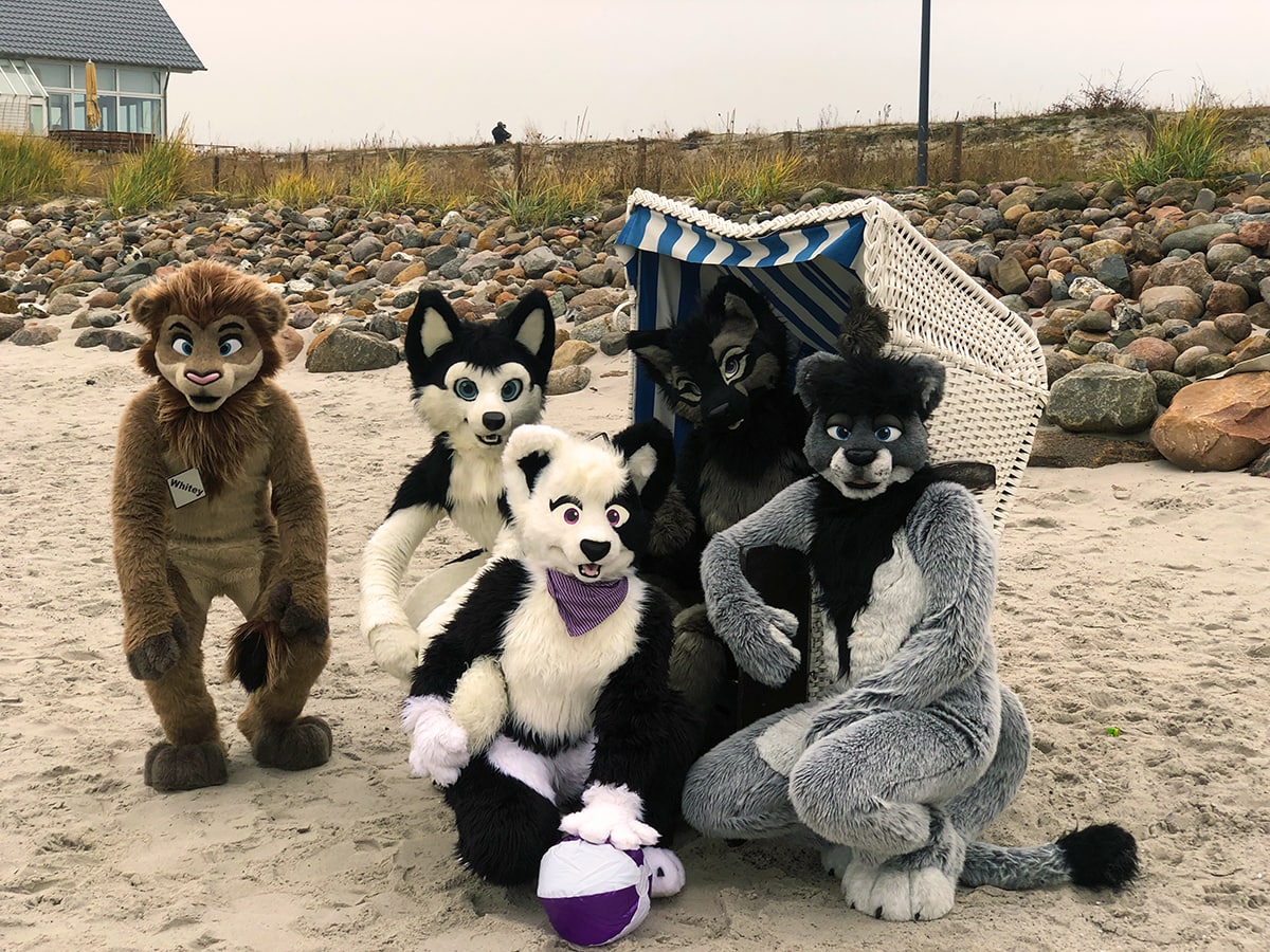 Chii ❤ 🐶🐶🦁🦁
<a href="/ShishaSheppy/">Sheppy</a> <a href="/nemeusleo/">Loewi</a> <a href="/WhiteyLion/">Whiteylion</a> and Michonne 
#FursuitFriday #cutefursuits