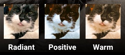 mental illinois tweet media