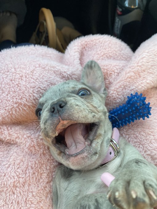 1 pic. happy baby ? https://t.co/gLQkYYEuas