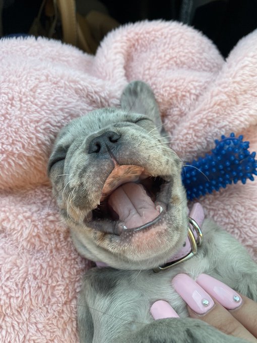 2 pic. happy baby ? https://t.co/gLQkYYEuas