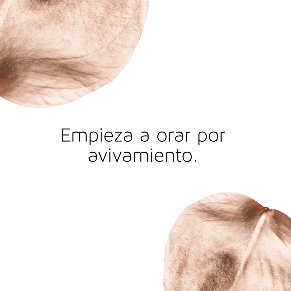 PstaRhondaME's tweet photo. - Empieza a orar por avivamiento.

.
.
.
.
#ME #MujeresExtravagantes #inquebrantable #unshakable #💜#conferencia #mujeres #mujerdefe #cristianas #mujeresvalientes https://t.co/juf46Fu5uM