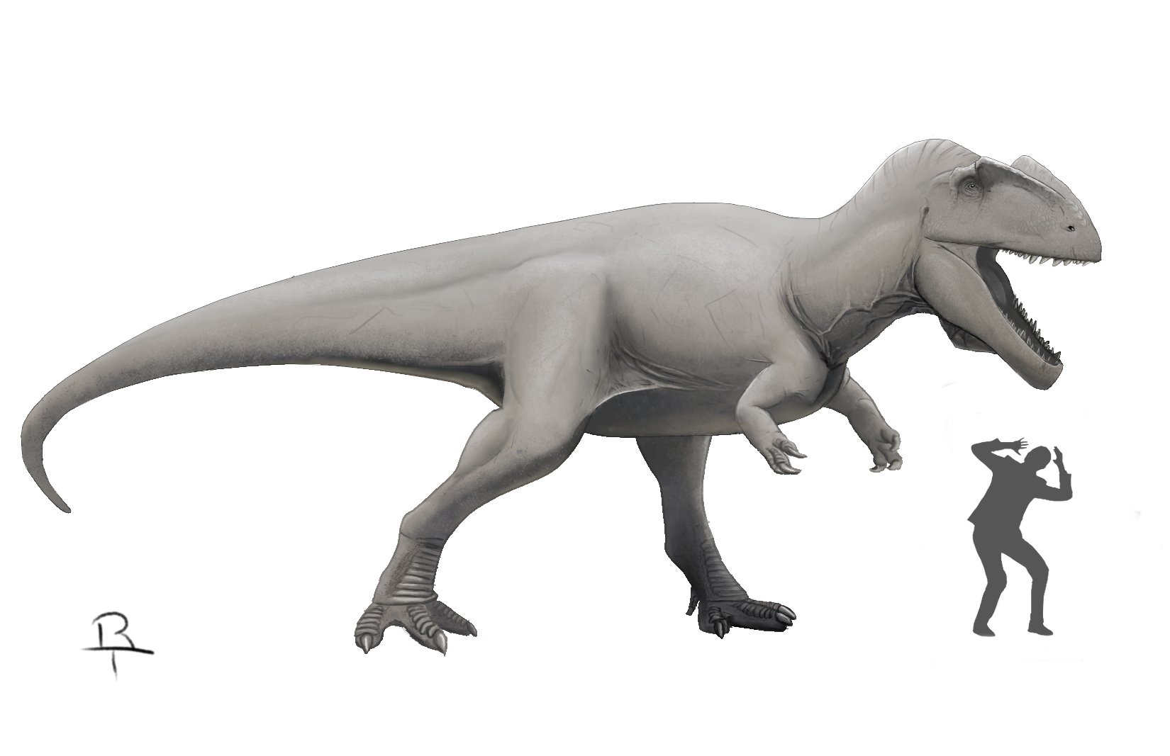 carcharodontosaurus fossil