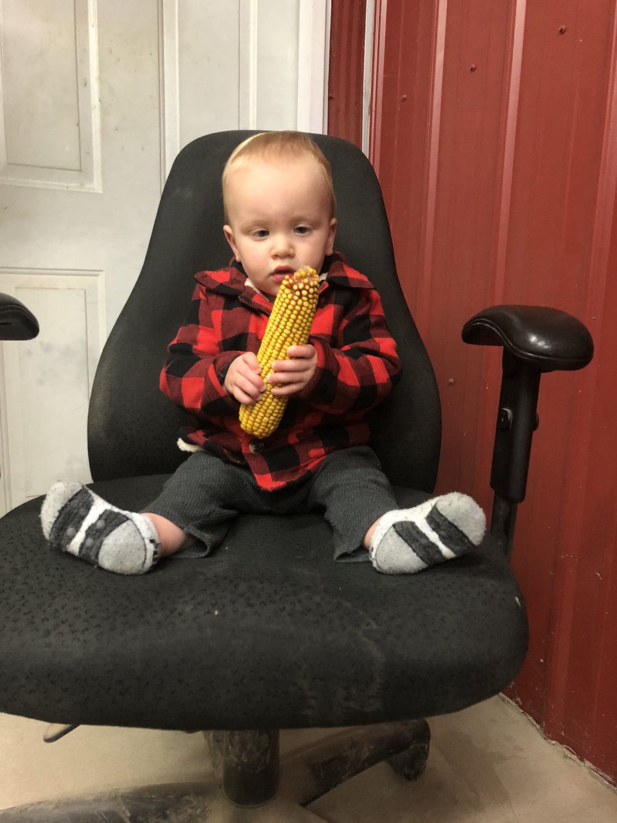 SamanthaAmy1995's tweet photo. Inspecting corn 2020! #corn #corn2020 #harvest2020 #littleman #littlefarmer https://t.co/Yi042GPTnR