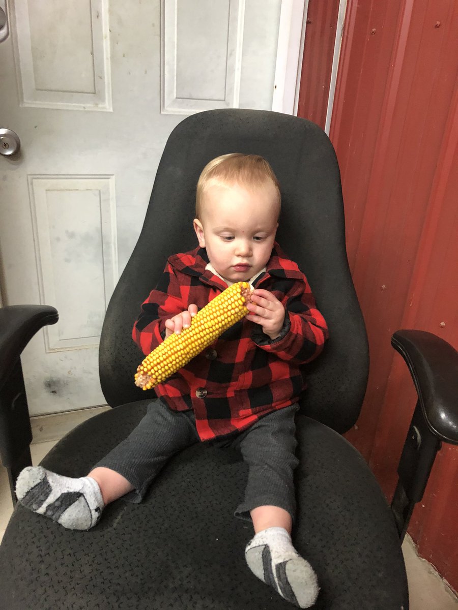SamanthaAmy1995's tweet photo. Inspecting corn 2020! #corn #corn2020 #harvest2020 #littleman #littlefarmer https://t.co/Yi042GPTnR