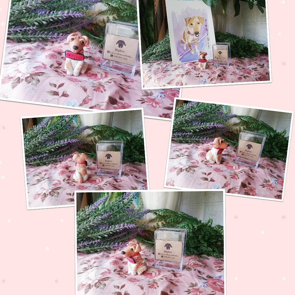 BigboxDiy's tweet photo. คิดถึง​น้อง คิดถึง​วันเก่าๆ อยากมีอนุสรณ์​เก็บไว้ให้เหมือนเขายังอยู่ข้างเราเสมอ... งานปั้นตุ๊กตา​สัตว์​เลี้ยง​
 By  Bigbox​Diy​

ติดต่อ​✨ไลน์​ @gvy2419o​✨
❤️❤️❤️❤️❤️
 #งานปั้น​  #ตุ๊กตา​  #ปั้นสุนัข #ปั้นคน #รับปั้น #ของขวัญ​ #ของฝาก ​#ของที่ระลึก​  #ดินปั้น #ของจิ๋ว #แฮนด์เมด https://t.co/oX6QS3N05V