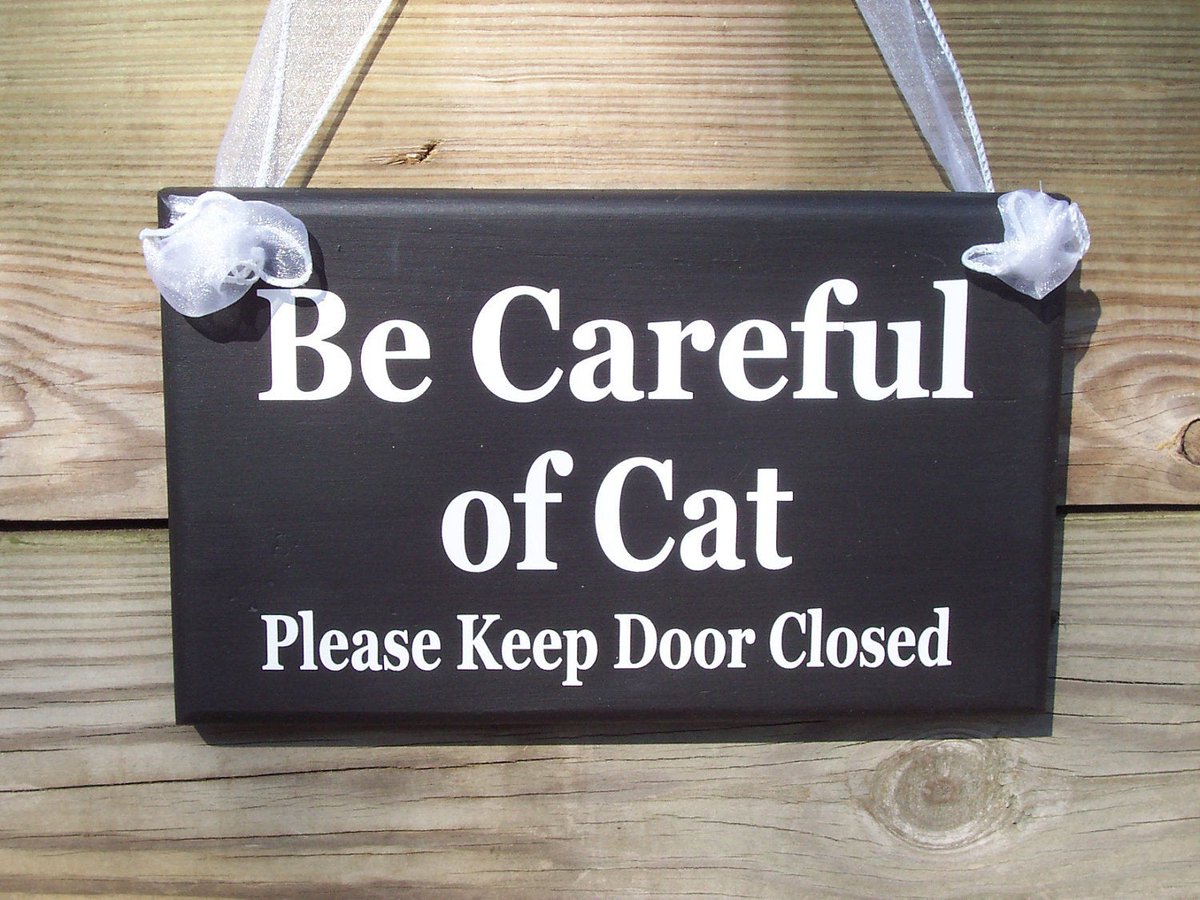 heartfeltgiver's tweet image. Terrific sign to help people avoid releasing an escape artist cat. Thanks!" Sandra J. 

etsy.me/2IAAy46

#catsign #catsofinstagram #catlife #catlovers #frontdoorsign #keepdoorclosed #shutthedoor #cat
