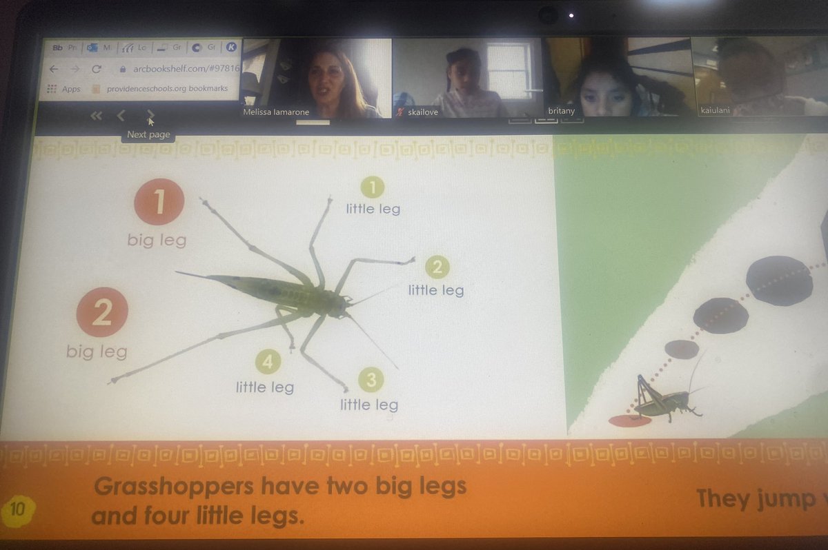 melissa iamarone (@iamaronemelissa) on Twitter photo What an engaged bunch of entomologists! Learning a ton of interesting facts and writing our 3 point responses!! <a href="/CMonterecy/">Courtney Monterecy</a> <a href="/StringfellowSam/">Samantha Stringfellow</a> @cathy_gruber <a href="/AmericanReading/">American Reading</a> #distancelearning #grasshoppersarecool #readersarethinkers What an engaged bunch of entomologists! Learning a ton of interesting facts and writing our 3 point responses!! <a href="/CMonterecy/">Courtney Monterecy</a> <a href="/StringfellowSam/">Samantha Stringfellow</a> @cathy_gruber <a href="/AmericanReading/">American Reading</a> #distancelearning #grasshoppersarecool #readersarethinkers
