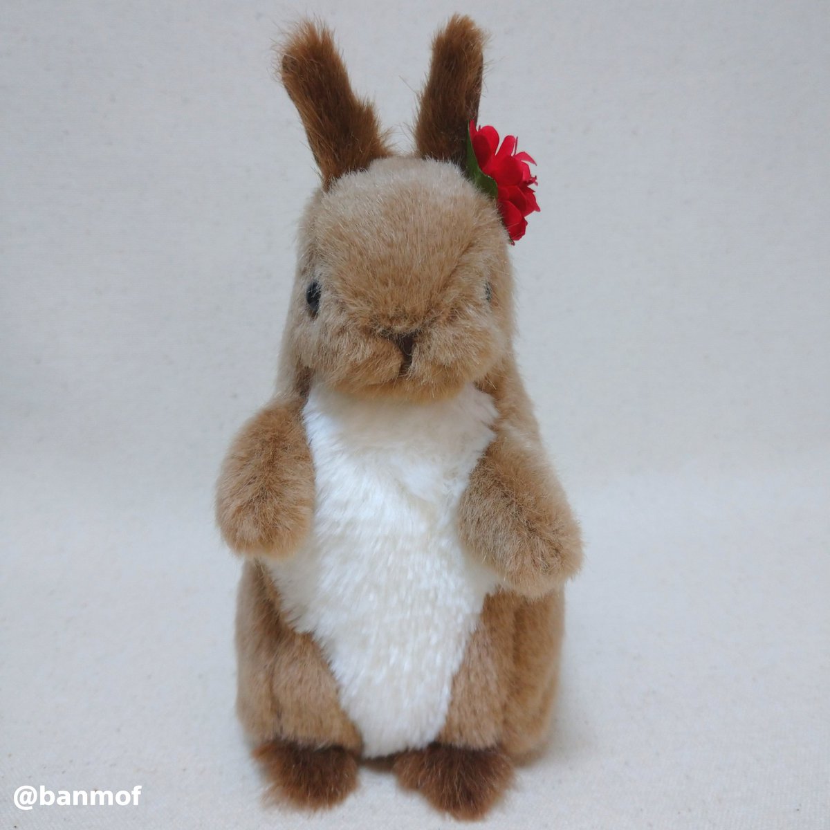 エゾリスぬいぐるみ】 エゾリスをモデルにしたぬいぐるみです。 ピンっ