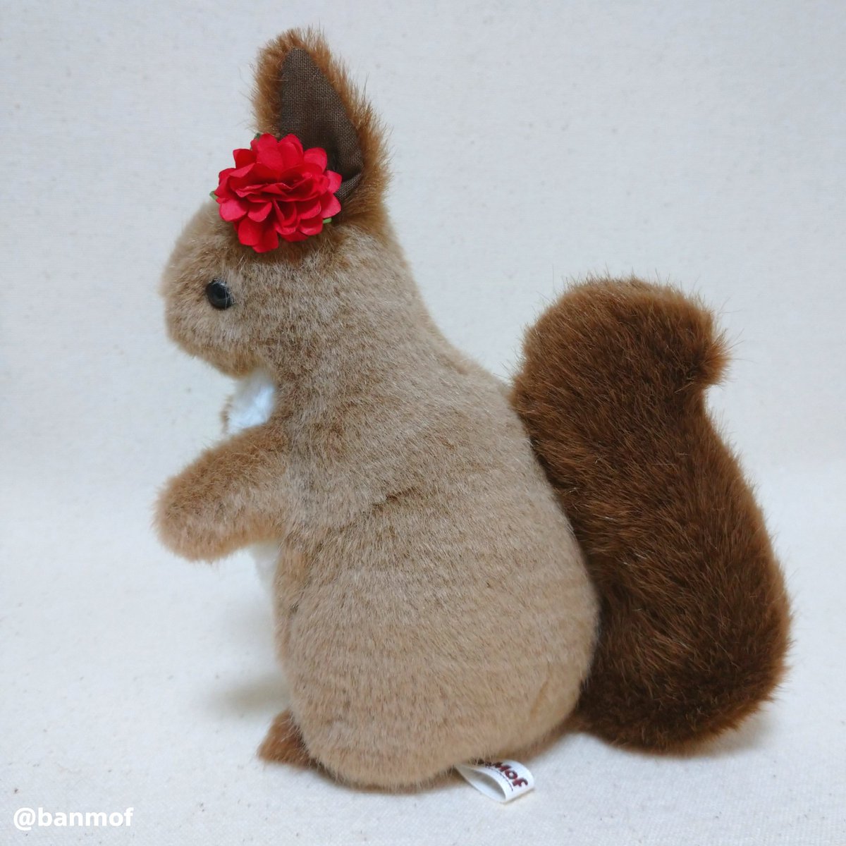 エゾリスぬいぐるみ】 エゾリスをモデルにしたぬいぐるみです。 ピンっ