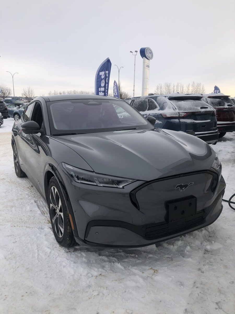 LacombeFord's tweet photo. Again, not to be dramatic or anything, but I think we are all in love with this 2021 Mustang Mach-e🤩

After the Bronco sneak peak, it was the Mach-e's turn to stop by the dealership😎 If you thought it looked nice on pictures, it's even better in real life. https://t.co/YQhB6M0Q1g
