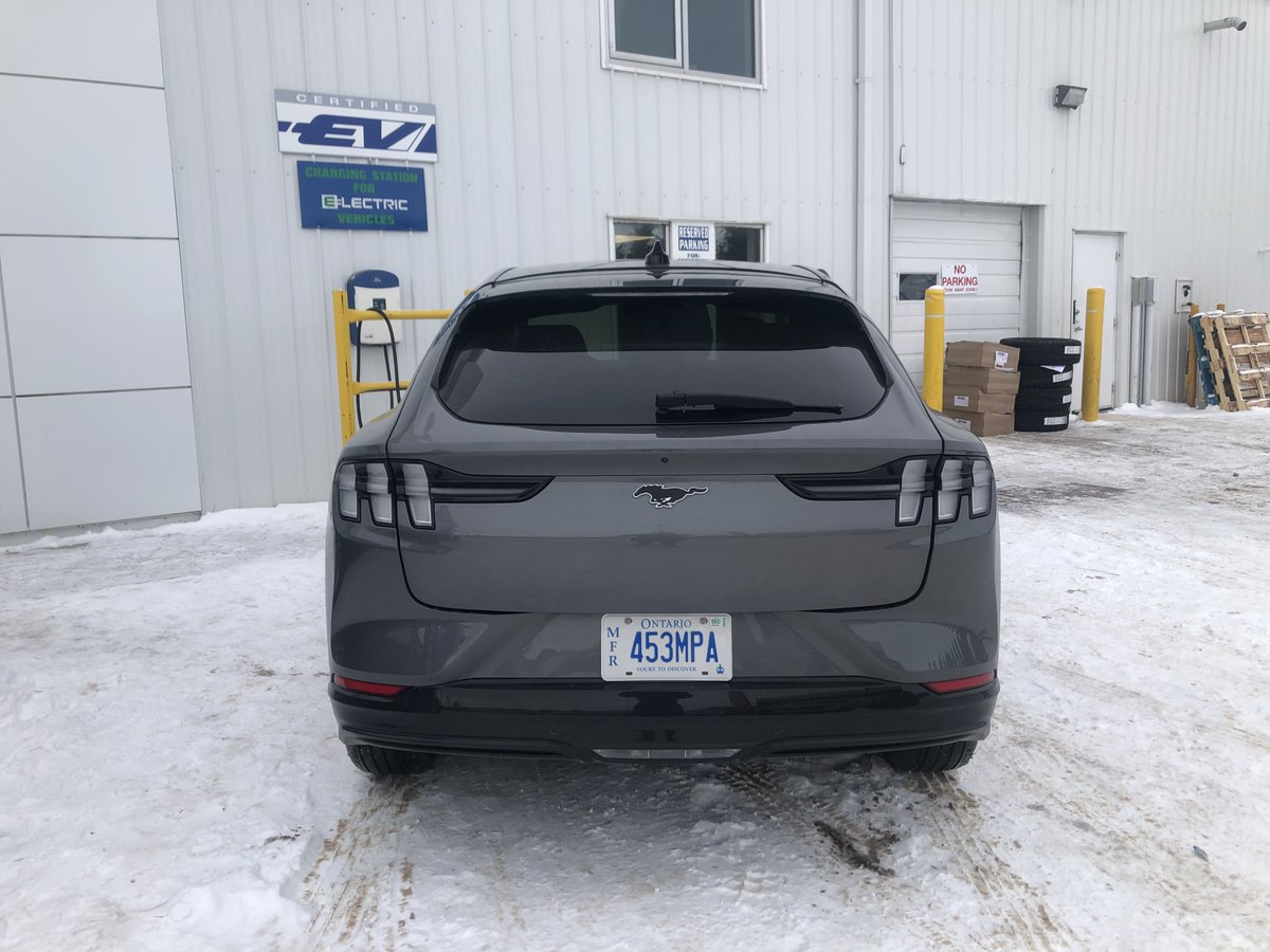 LacombeFord's tweet photo. Again, not to be dramatic or anything, but I think we are all in love with this 2021 Mustang Mach-e🤩

After the Bronco sneak peak, it was the Mach-e's turn to stop by the dealership😎 If you thought it looked nice on pictures, it's even better in real life. https://t.co/YQhB6M0Q1g