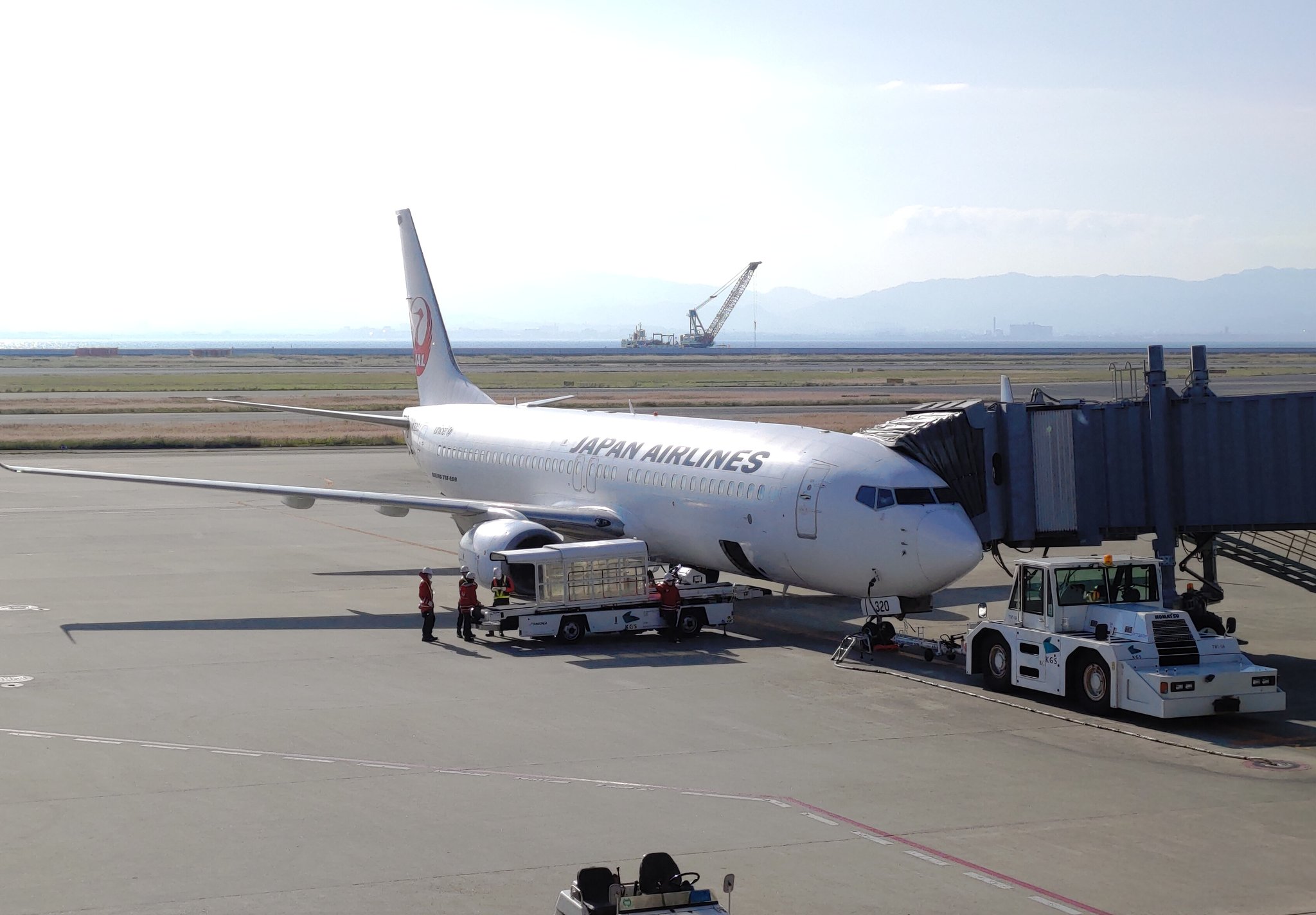 もりっつ 感染症対策を完璧にして いざ北の大地へ 国際線機材だぞい Jal2501 37 800 Kix関西空港 Cts 新千歳空港 もりっつ空を飛ぶ T Co 33uvjvkaxl Twitter