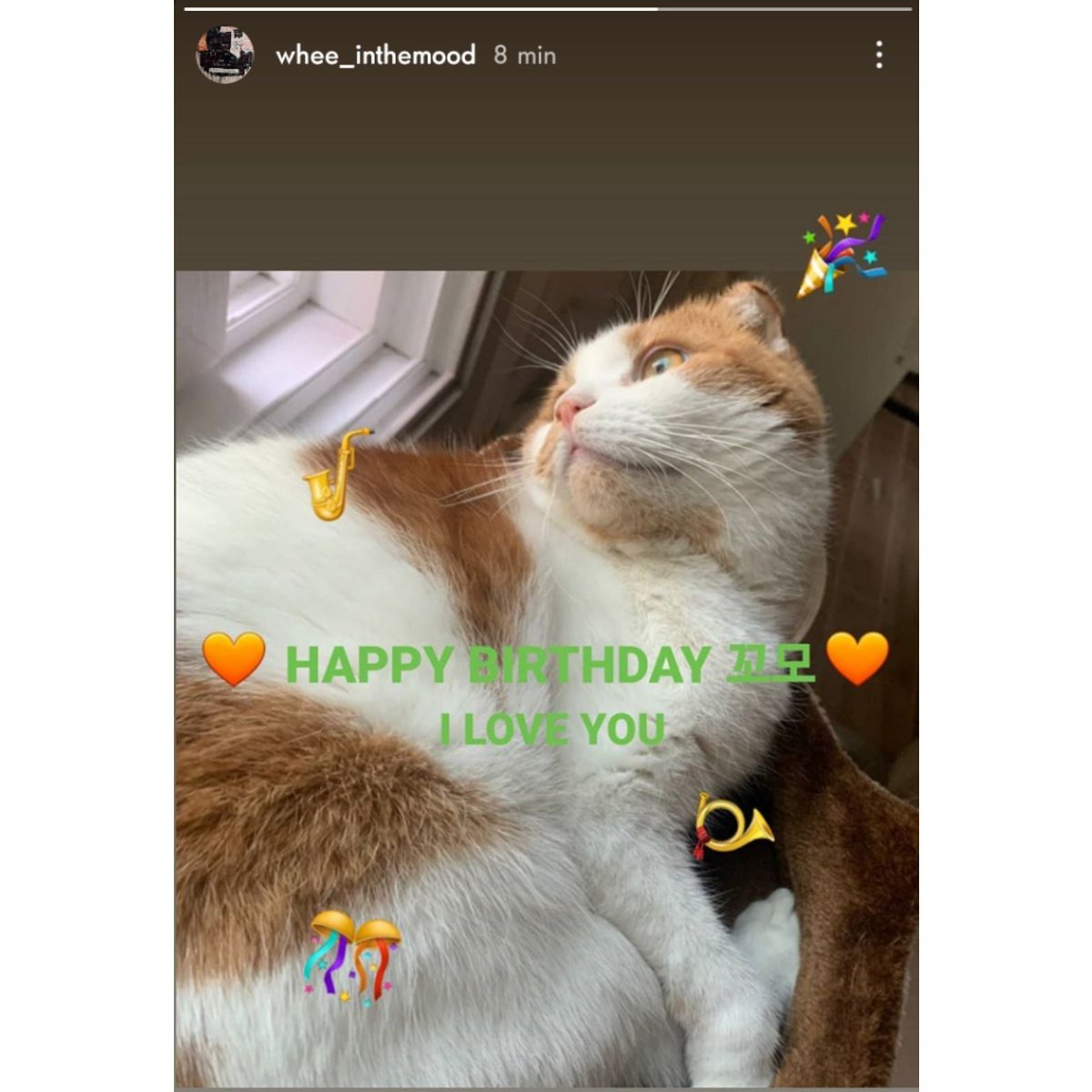 MamamooChile's tweet photo. [FOTO] 201113 Actualización de la historia de instagram de #Wheein celebrando el cumpleaños de Ggomo 

Cr. Whee_inthemood

#Ggomo #jungwheein #comani #jungwheerun #wheepup #whee_inthemood #wheeinxggomo https://t.co/AfQBdZ0zJM